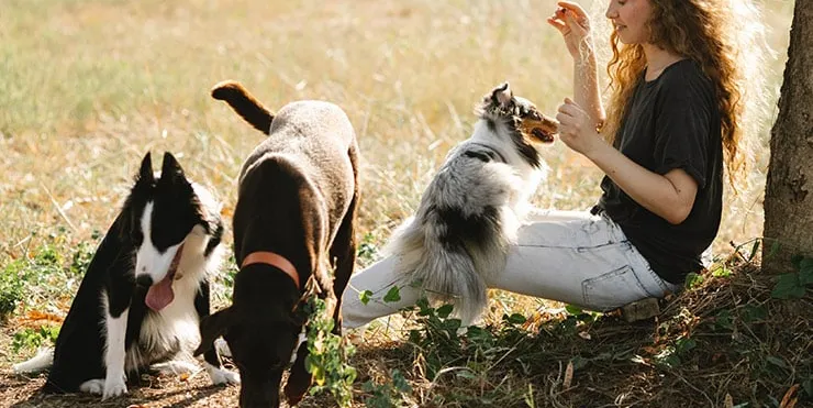 Imagen cabecera post