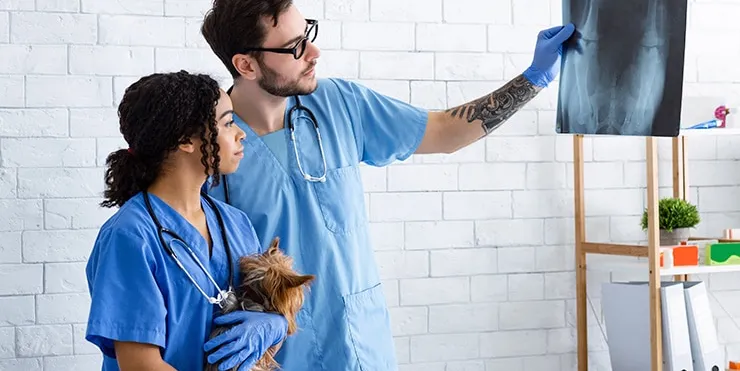 Imagen cabecera post