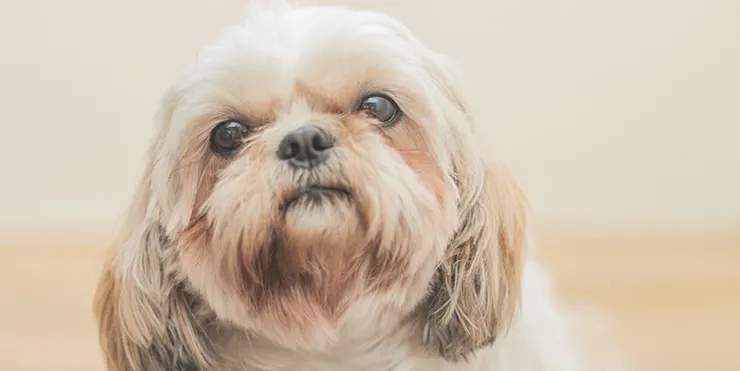 Imagen cabecera post