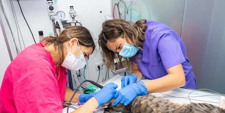 Imagen cabecera post