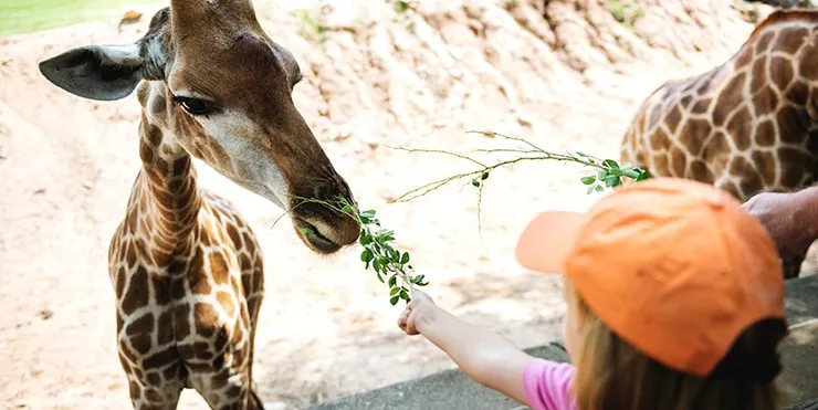 Imagen cabecera post