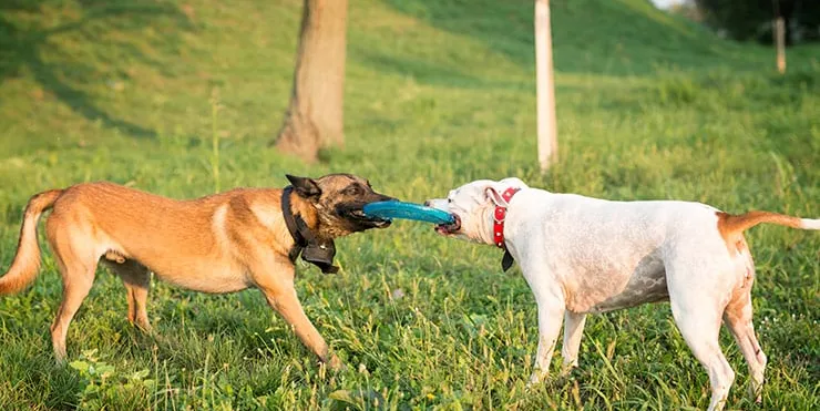 Imagen cabecera post