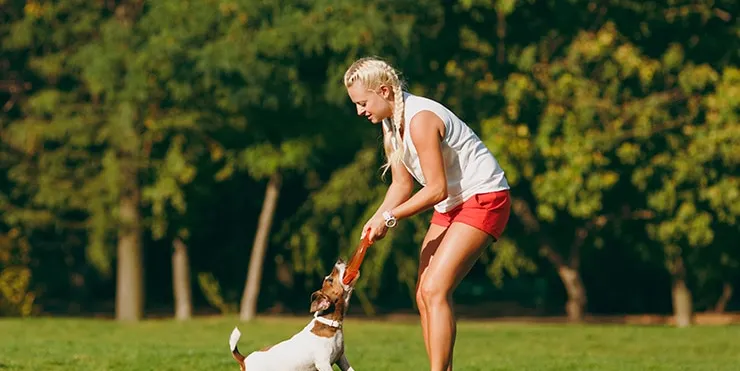 Imagen cabecera post