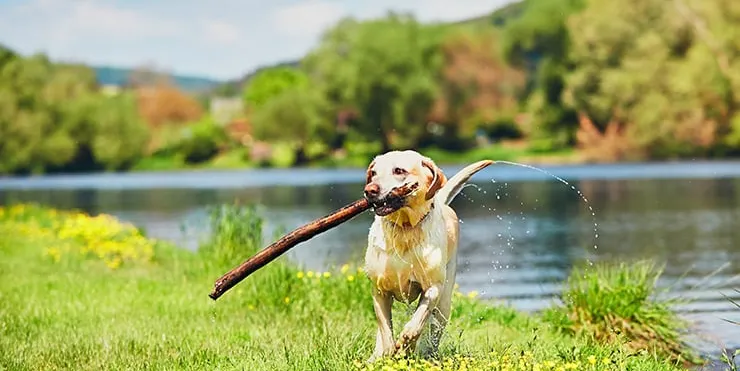 Imagen cabecera post