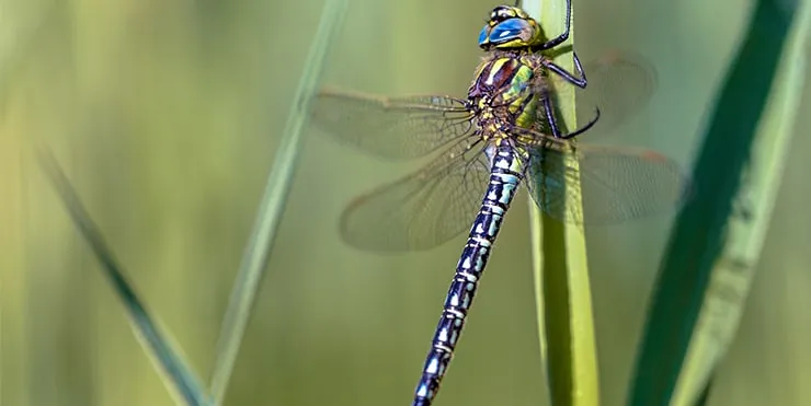 Imagen cabecera post