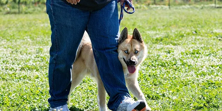 Imagen cabecera post