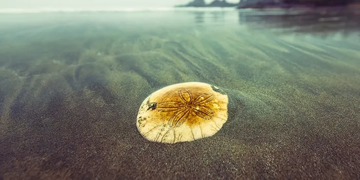 Imagen cabecera post