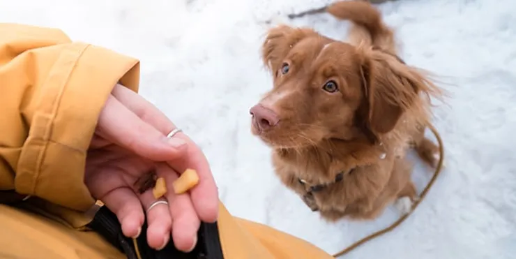 Imagen cabecera post