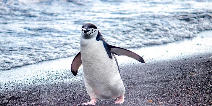 Imagen cabecera post