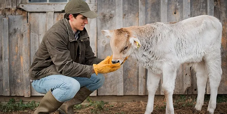 Imagen cabecera post