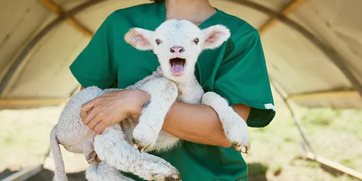 Imagen cabecera post