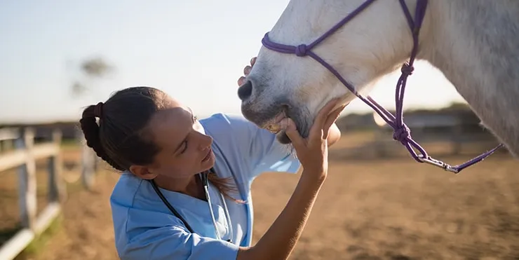 Imagen cabecera post