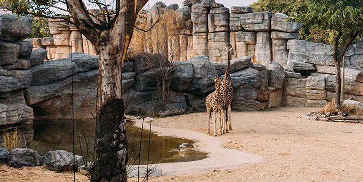 Imagen cabecera post