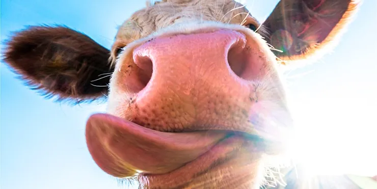 Imagen cabecera post