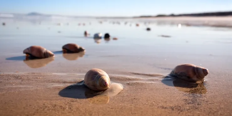 Imagen cabecera post