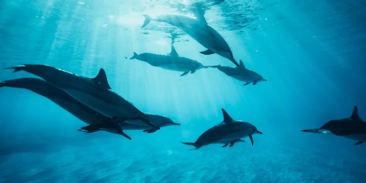 Imagen cabecera post