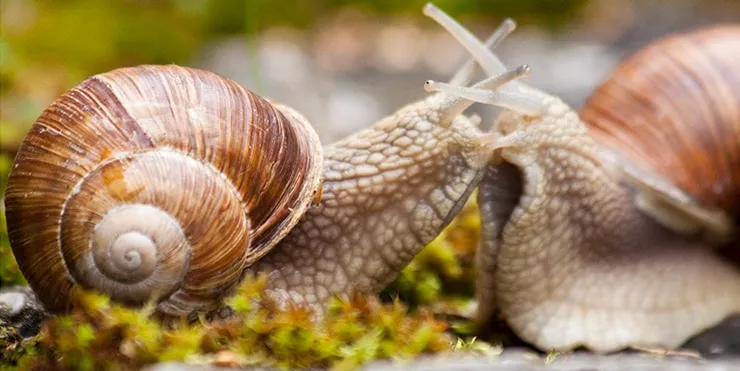 Imagen cabecera post