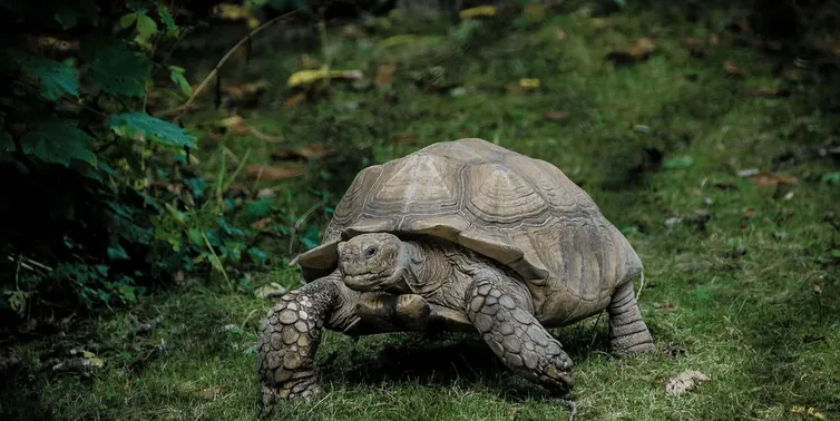 Imagen cabecera post