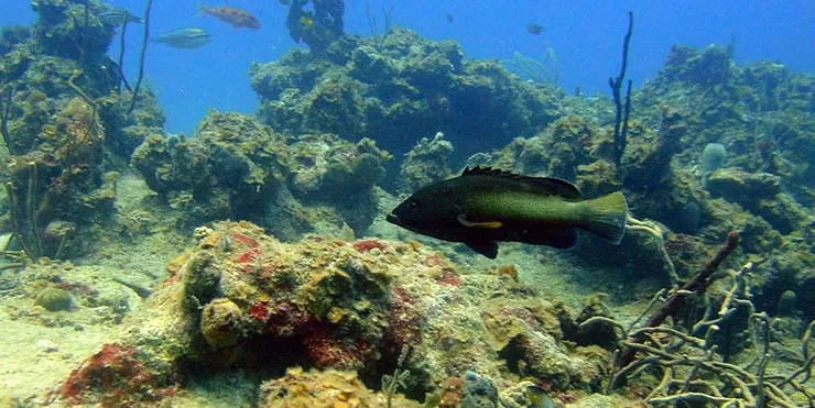 Imagen cabecera post