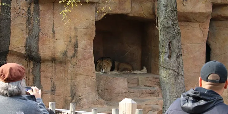 Imagen cabecera post