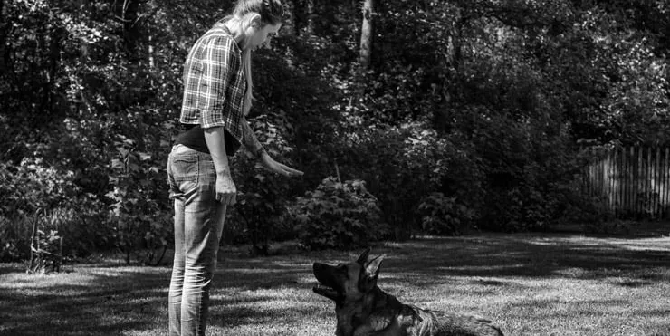 Imagen cabecera post