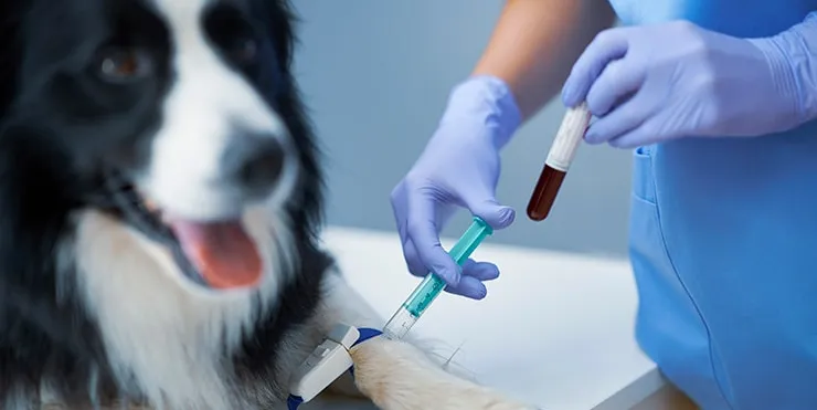 Imagen cabecera post