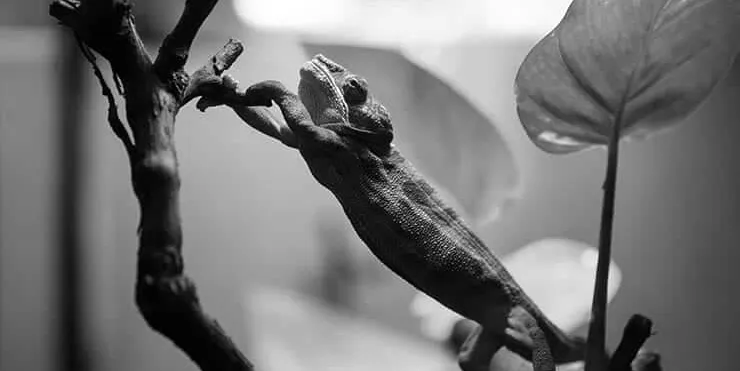 Imagen cabecera post