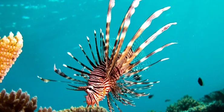 Imagen cabecera post