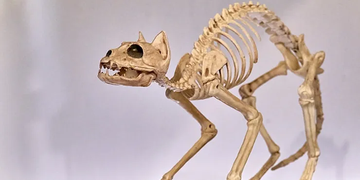 Imagen cabecera post