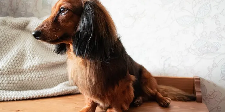 Imagen cabecera post