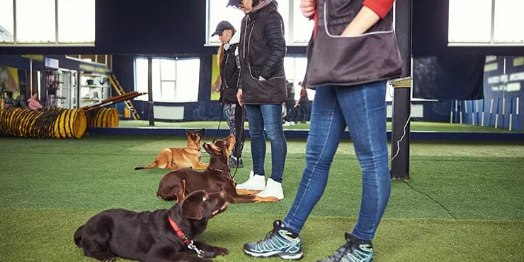 Imagen cabecera post