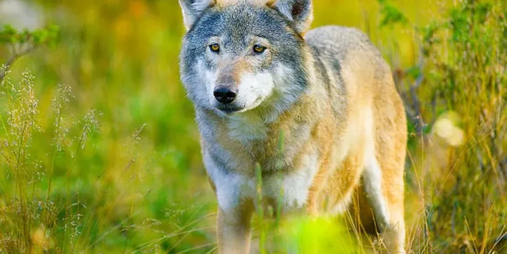 Imagen cabecera post