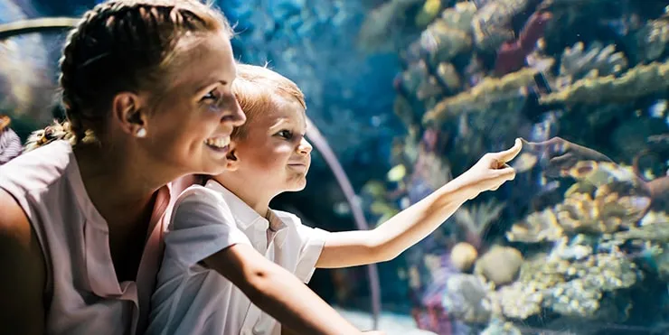 Imagen cabecera post