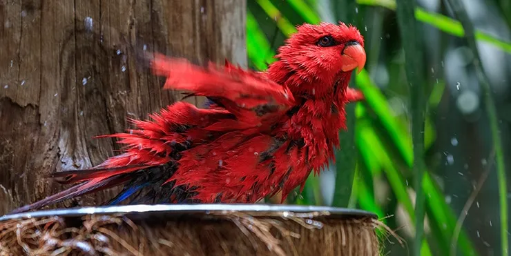 Imagen cabecera post