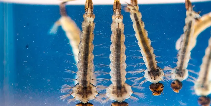 Imagen cabecera post