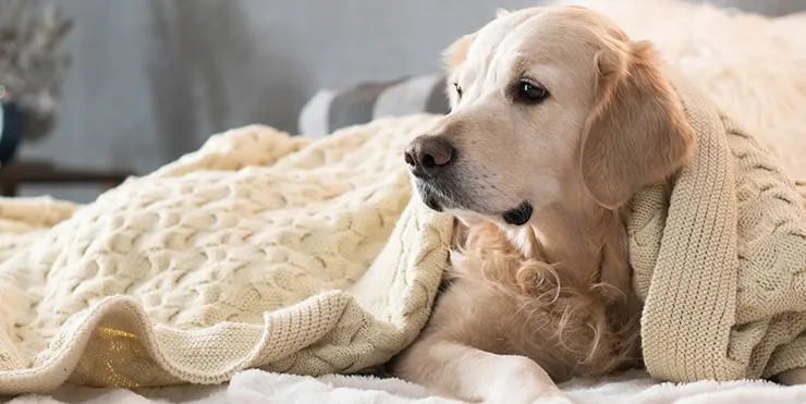 Imagen cabecera post