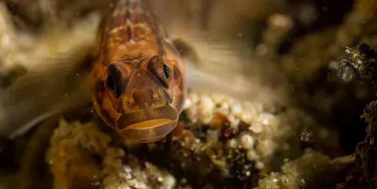 Imagen cabecera post