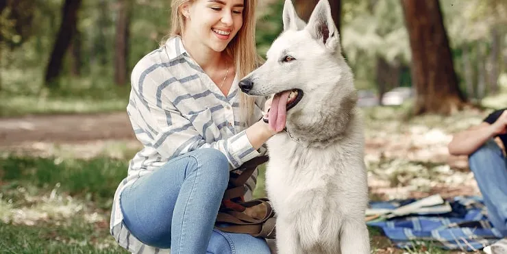 Imagen cabecera post