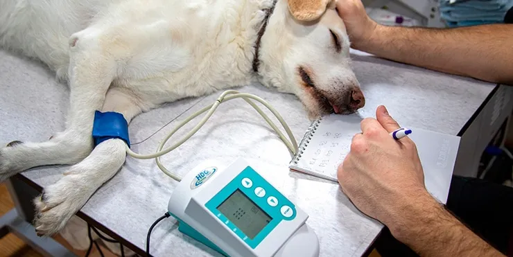 Imagen cabecera post