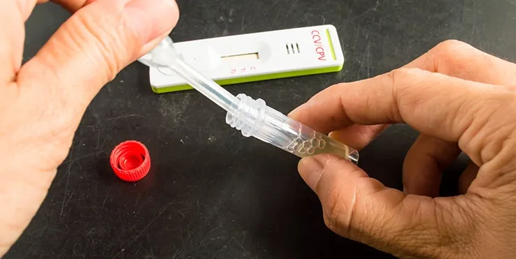 Imagen cabecera post