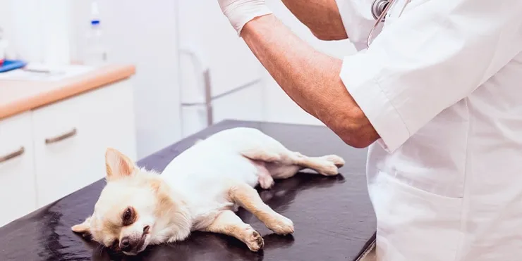 Imagen cabecera post