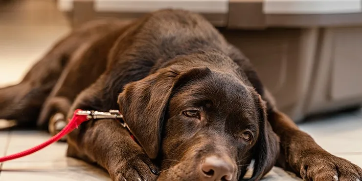 Imagen cabecera post