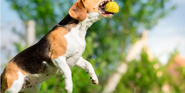 Imagen cabecera post