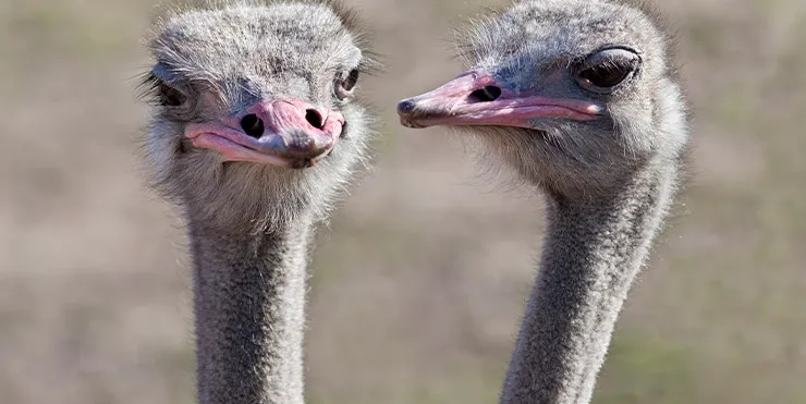 Imagen cabecera post