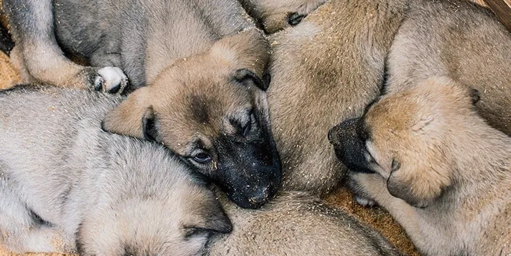 Imagen cabecera post