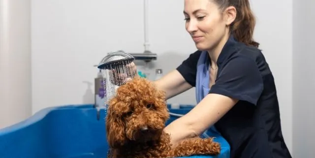 Imagen cabecera post