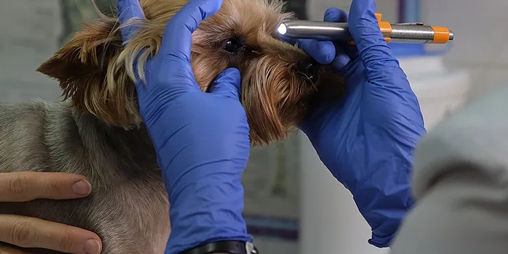 Imagen cabecera post