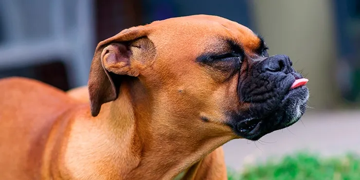 Imagen cabecera post