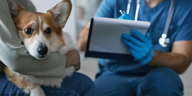 Imagen cabecera post