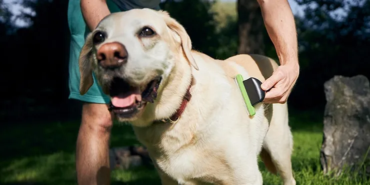 Imagen cabecera post